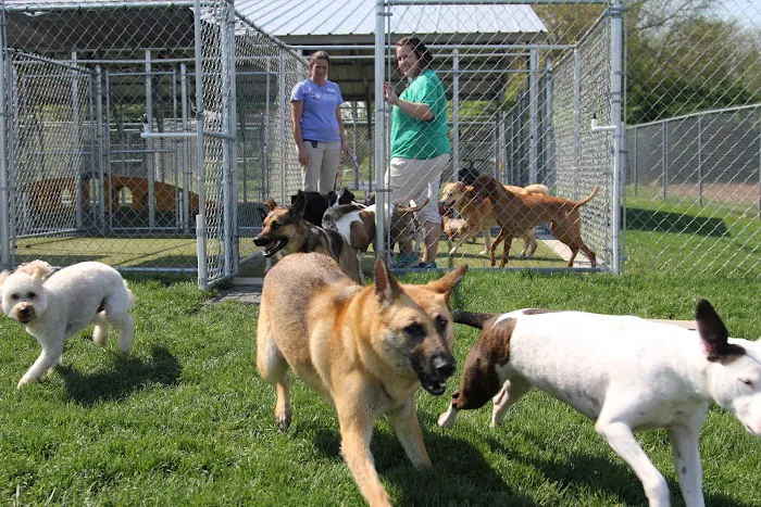 Tipp City Veterinary Hospital 12
