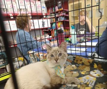 Petco