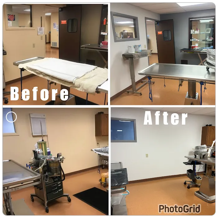 Family Vet Services 8