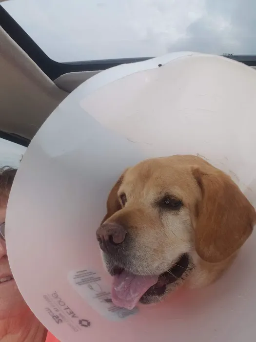 Celina Animal Hospital 1