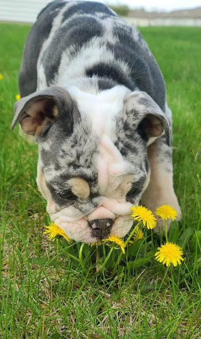 Celina Animal Hospital 4