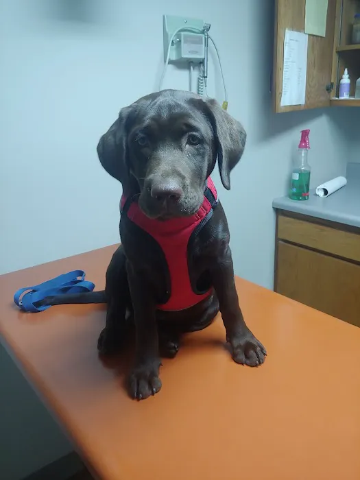 Celina Animal Hospital 2
