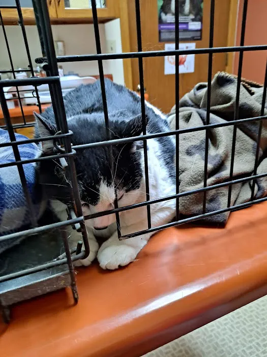 Celina Animal Hospital 8
