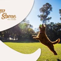 Rawsome Pet Pantry ico