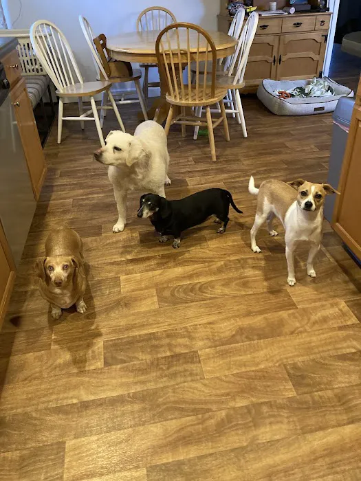 Lakeview Animal Hospital 4