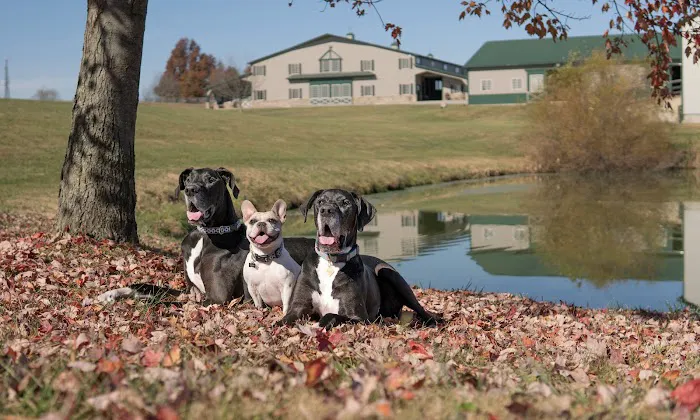 Kentucky Paws Animal Hospital 12