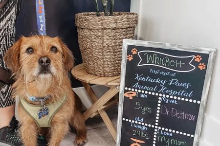 Kentucky Paws Animal Hospital