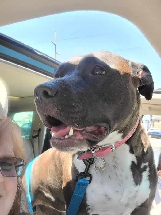 Crescent Springs Animal Hospital 12
