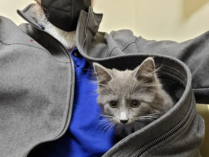 Crescent Springs Animal Hospital 12