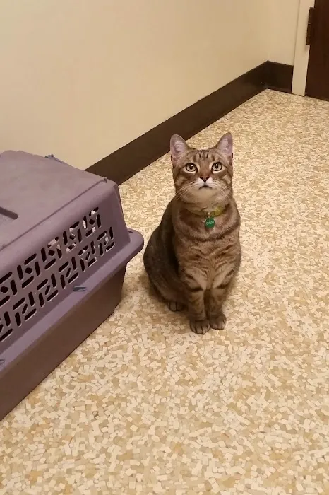 Crescent Springs Animal Hospital 12