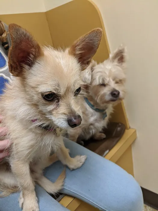 Crescent Springs Animal Hospital 12