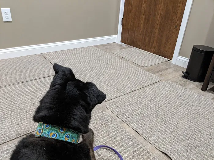 Holistic Veterinary Care 12