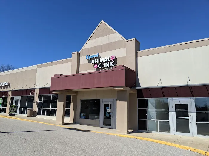 Edgewood Animal Clinic 12