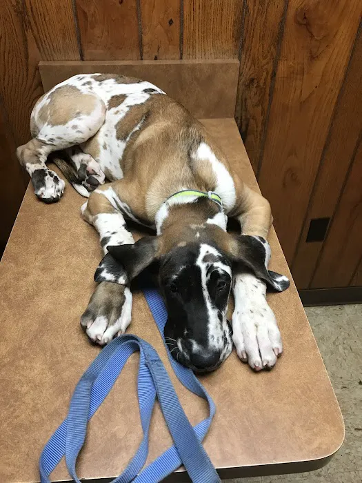 Walton Animal Clinic 8