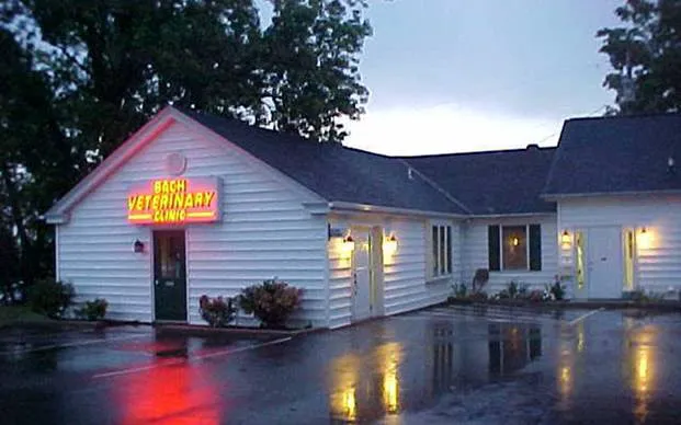 Bach Veterinary Clinic 12