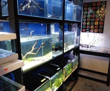Blue Planet Aquarium