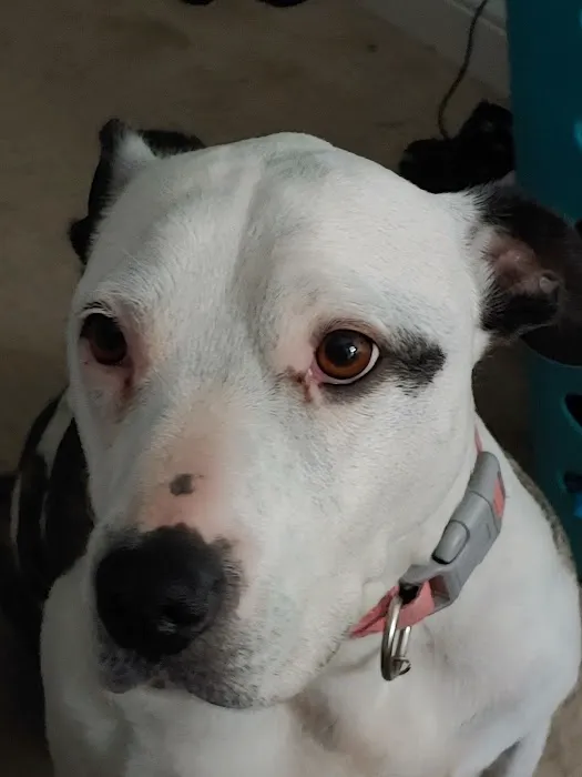 NKY Animal Care Center 5