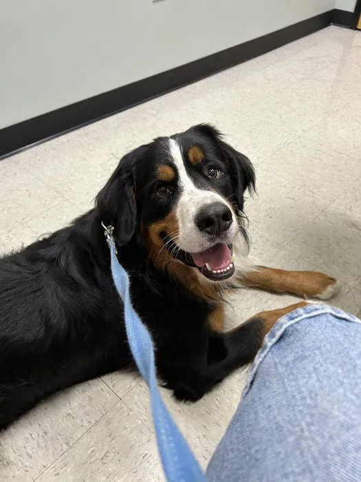 NKY Animal Care Center 2