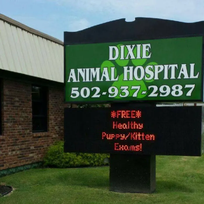 Dixie Animal Hospital 12