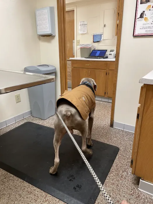 Dixie Animal Hospital 12