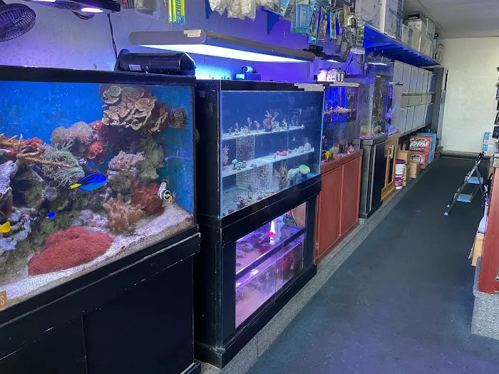 Seven Seas Aquarium 12