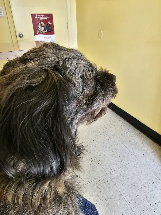 Fairleigh Pet Center 12