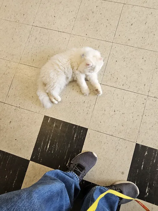 Fairleigh Pet Center 12