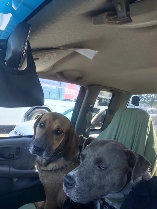 Fairleigh Pet Center 12