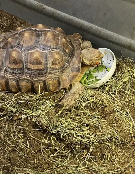 Fairleigh Pet Center 12