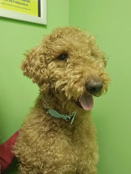 Fairleigh Pet Center 12