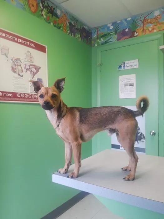 Fairleigh Pet Center 12