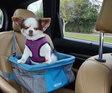 Petco