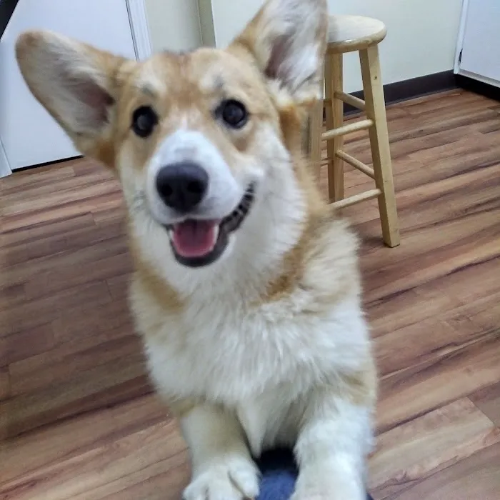 Bluegrass Animal Care Center 12