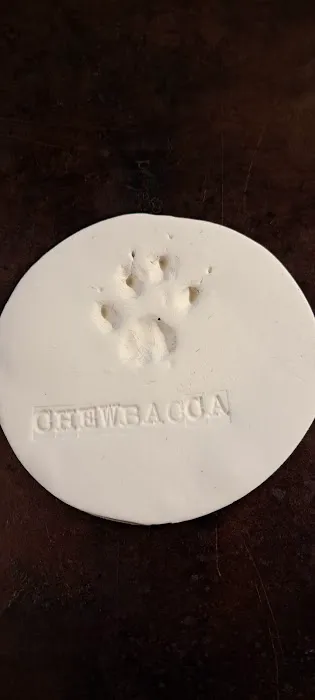 Bluegrass Animal Care Center 12