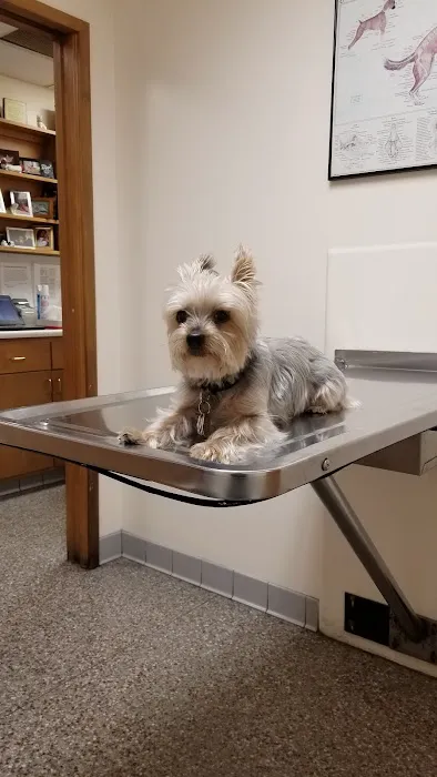 Shively Animal Clinic & Hospital 12