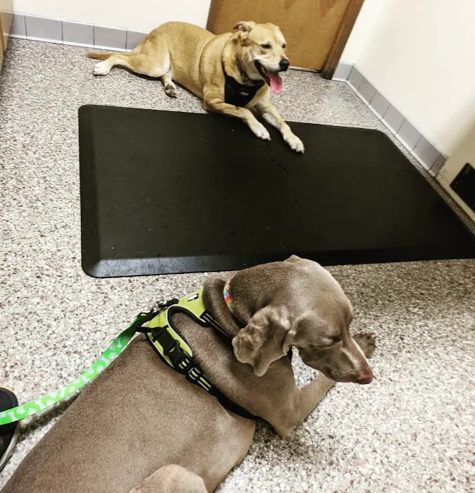 Shively Animal Clinic & Hospital 12