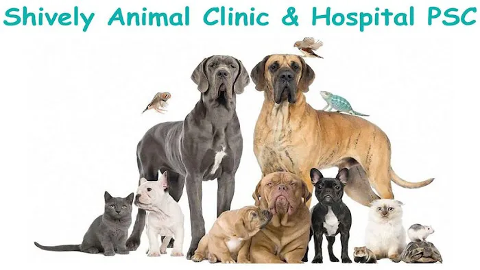 Shively Animal Clinic & Hospital 12