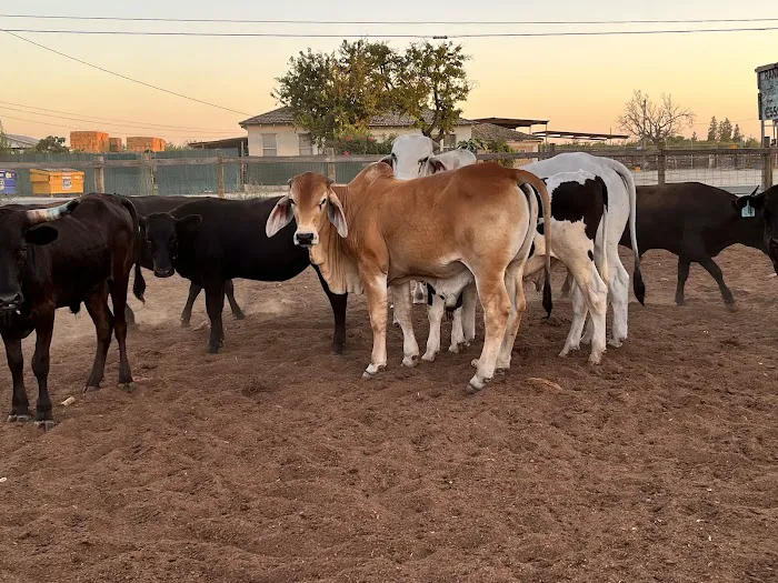 Rancho El Pino 2