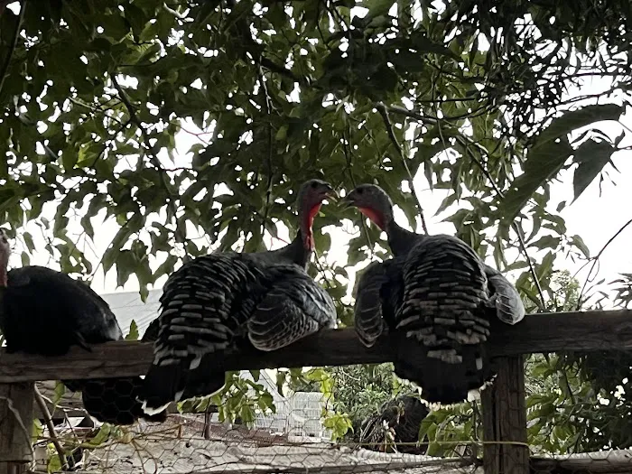 Rancho El Pino 5