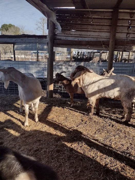 Rancho El Pino 1