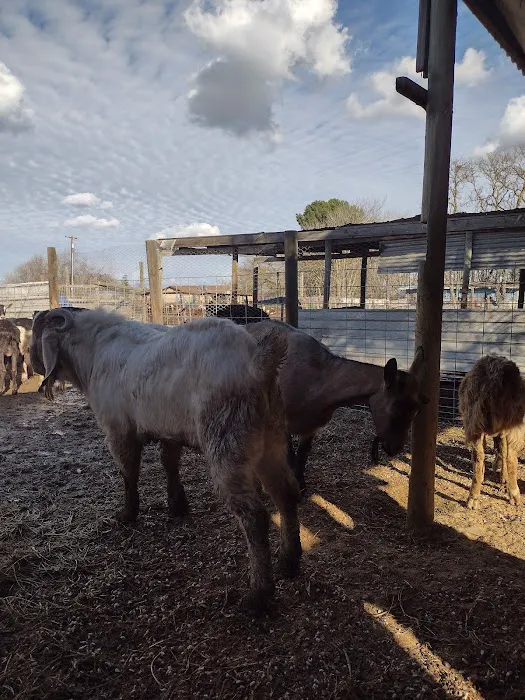 Rancho El Pino 4