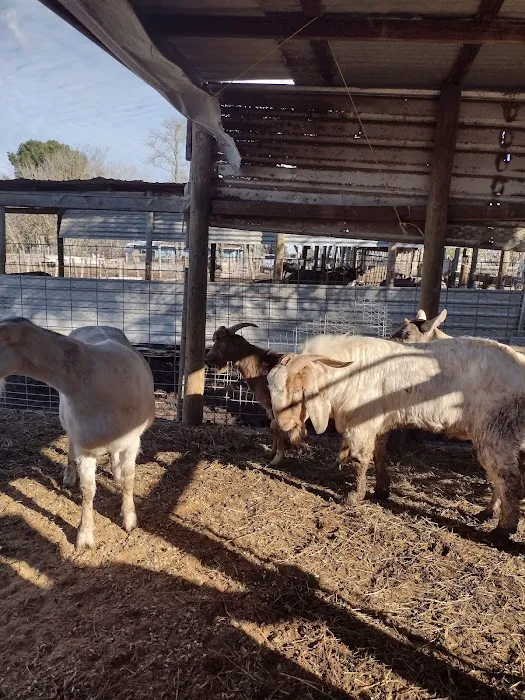 Rancho El Pino 6
