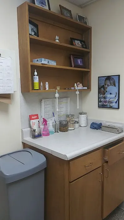 Shively Animal Clinic & Hospital: Cohn Rachel DVM 12