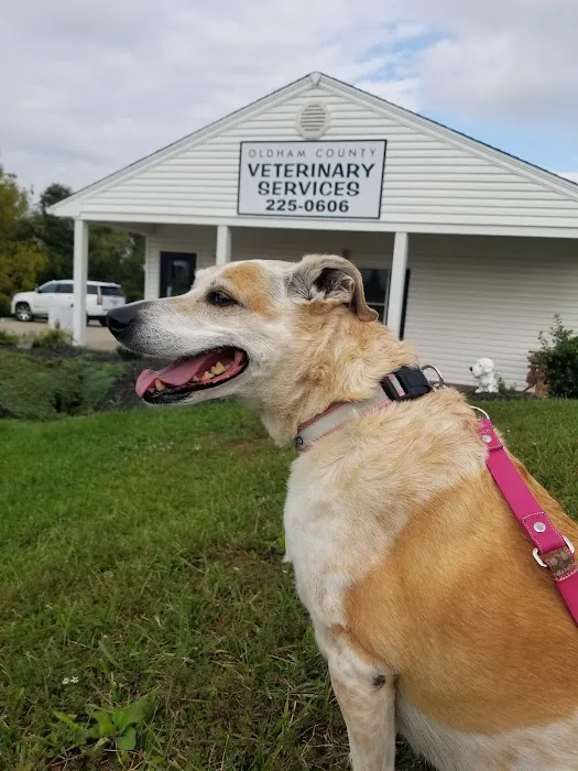 Oldham County Veterinary Services, LLC 1