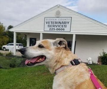 Oldham County Veterinary Services, LLC