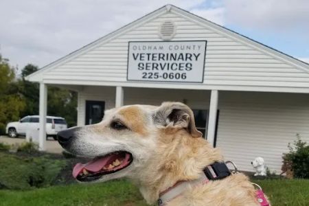 Oldham County Veterinary Services, LLC