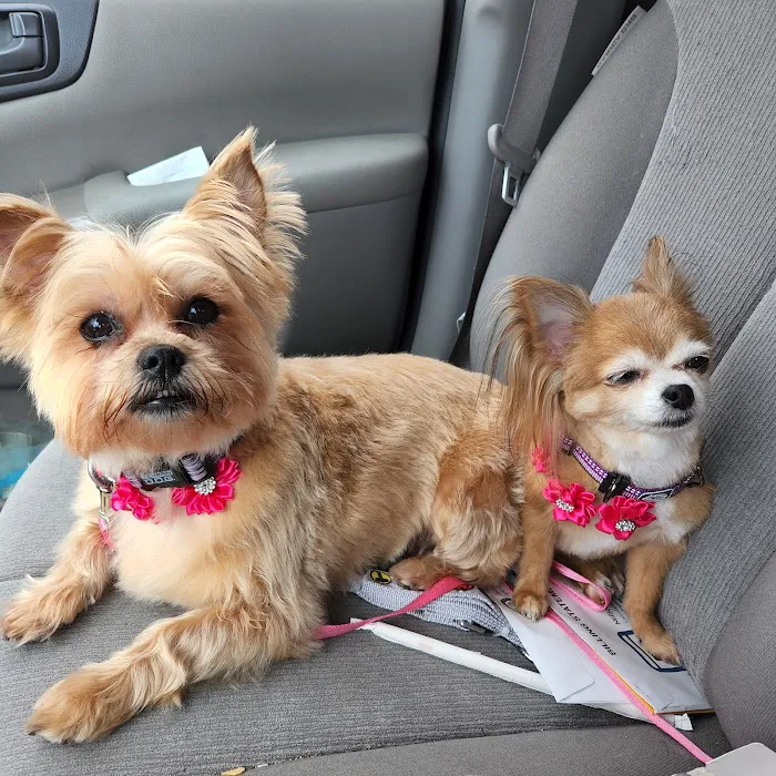 Oldham County Veterinary Services, LLC 6