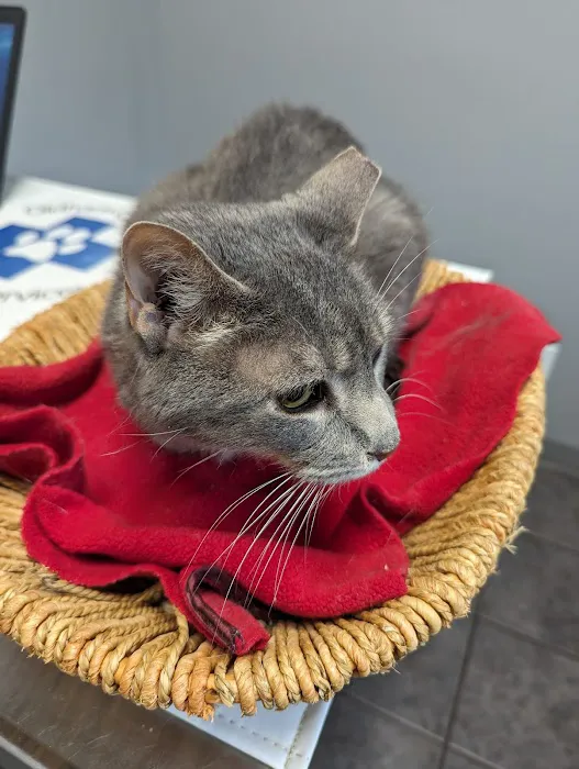 Oldham County Veterinary Services, LLC 8