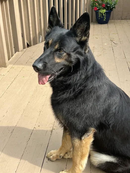 Buckner Animal Clinic 12