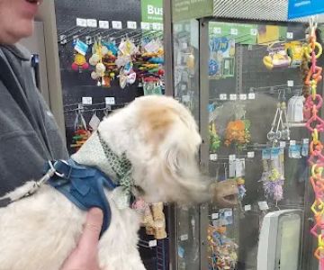 Petco